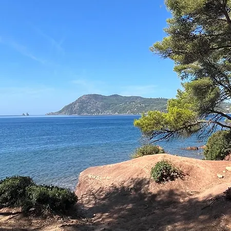 Fregate * Saint-Mandrier-sur-Mer